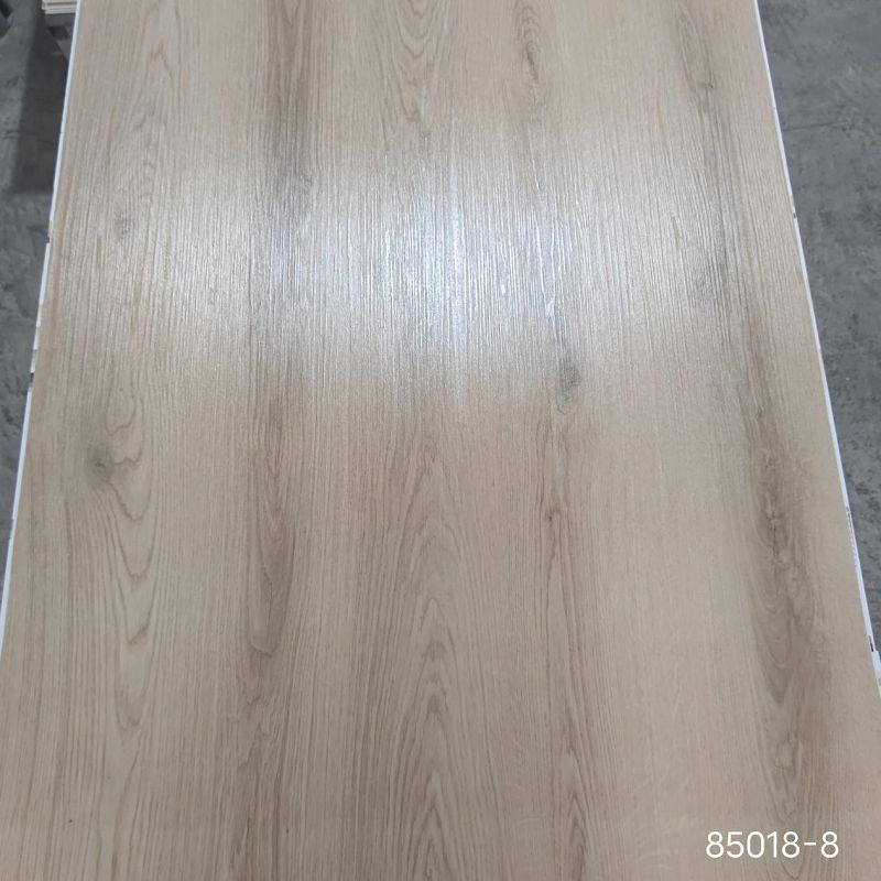 product-800-800